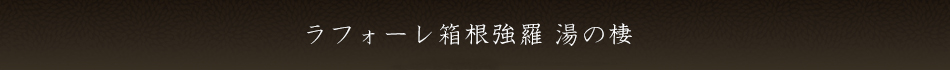 箱根強羅 湯の棲