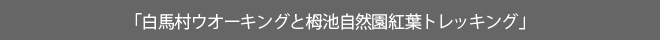 zenunEI[LOƒ̒rRgtgbLOv